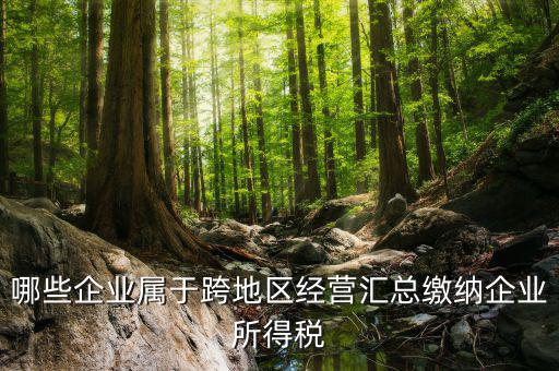 跨地區(qū)經(jīng)營(yíng)匯總納稅指的是什么，哪些企業(yè)屬于跨地區(qū)經(jīng)營(yíng)匯總繳納企業(yè)所得稅