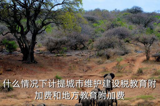 什么情況下免交地方教育稅附加，什么情況下計提城市維護(hù)建設(shè)稅教育附加費(fèi)和地方教育附加費(fèi)
