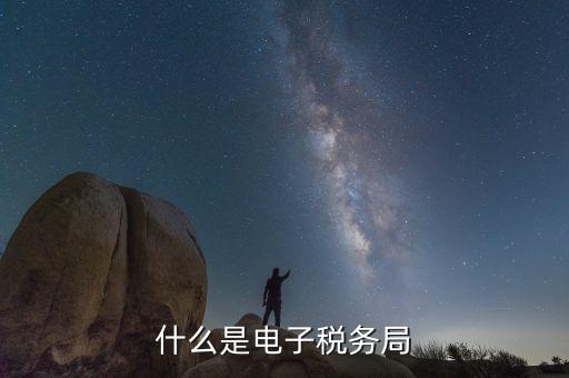 稅務(wù)網(wǎng)廳是什么意思，登錄國(guó)稅網(wǎng)上辦稅服務(wù)廳的用戶名和密碼是什么