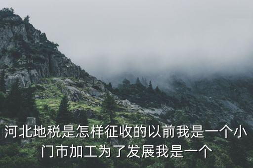河北省地稅報稅征收方式是什么，河北地稅申報個人所得稅