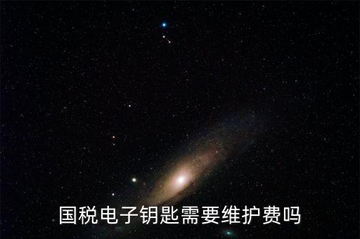 國稅電子鑰匙需要維護(hù)費嗎
