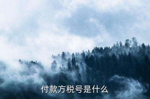 付款人稅號(hào)是什么，轉(zhuǎn)賬稅號(hào)指的是什么