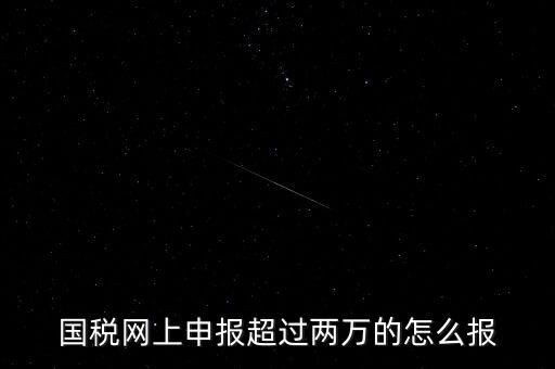 國稅網(wǎng)報入口是什么，怎樣才能進入小規(guī)模納稅人增值稅網(wǎng)上申報系統(tǒng)