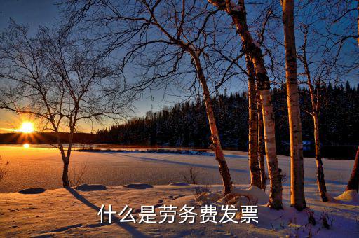 勞務(wù)費(fèi)發(fā)票是什么發(fā)票，什么是勞務(wù)費(fèi)發(fā)票