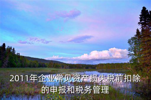 什么是資產損失屬于清單申報，資產損失稅前扣除什么是清單申報專項申報
