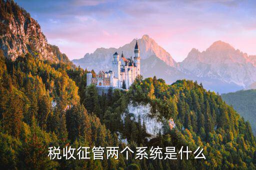 稅務(wù)什么叫核心征管系統(tǒng)，稅收征管兩個系統(tǒng)是什么