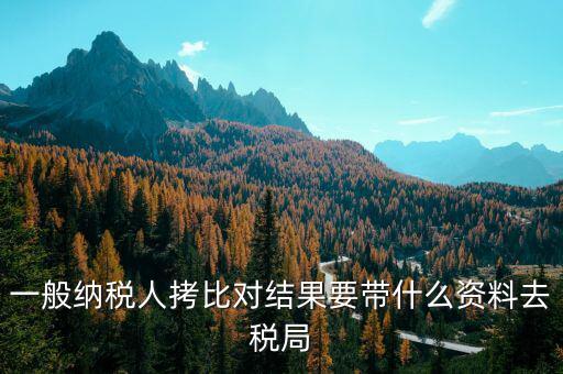去稅務拷初始化文件帶什么東西，一般納稅人拷比對結(jié)果要帶什么資料去稅局