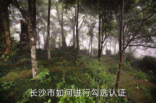 如何進(jìn)行網(wǎng)上勾選，對方開出增值稅專用發(fā)票多長時間可以進(jìn)行網(wǎng)上勾選認(rèn)證