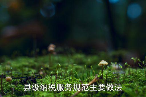 如何納稅的便民措施，如何提高納稅人滿意度 中國(guó)稅務(wù)報(bào)