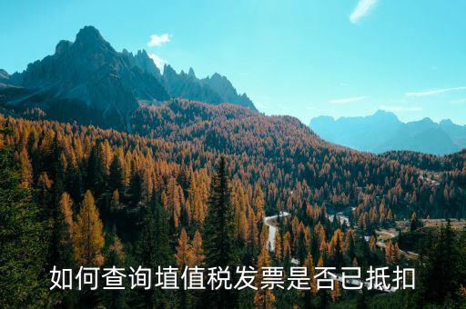 如何查詢已抵扣發(fā)票嗎，怎么查詢開出的發(fā)票有沒有被抵扣