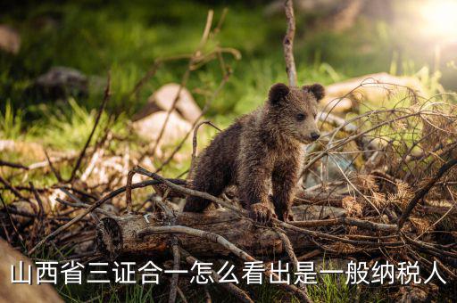 山西省如何查詢納稅人，為什么山西國(guó)稅發(fā)票無法查詢真?zhèn)?/></a></span><span id=