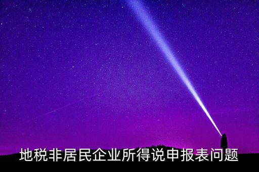 扣繳非居民所得稅報告表指什么，扣繳個人所得稅報告表30