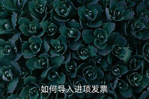 如何導(dǎo)入發(fā)票，如何導(dǎo)入進項發(fā)票