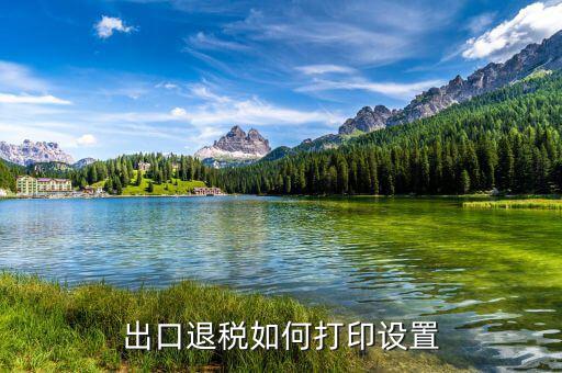 如何打印出口退稅備案表，出口退稅系統(tǒng)內(nèi)的增值稅申報表如何打印