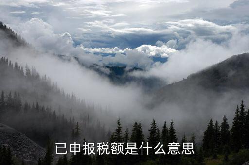武漢稅務(wù)年報是什么意思，報告年度所得稅什么意思