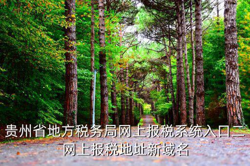貴州地稅如何網上申報，貴州省地方稅務局網上報稅系統(tǒng)入口二網上報稅地址新域名