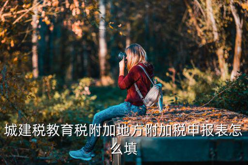 新城建稅附加表如何填，網(wǎng)上申報城建稅教育附加稅怎么填
