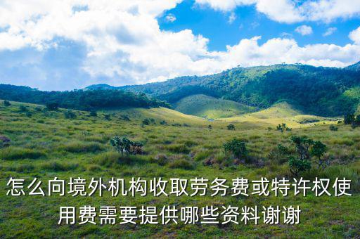 特許權使用費如何申報，支付的特許權使用費收入開什么發(fā)票