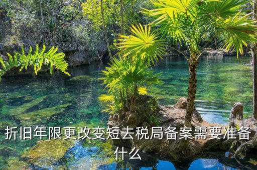 固定資產縮短折舊年限如何備案，折舊年限更改變短去稅局備案需要準備什么