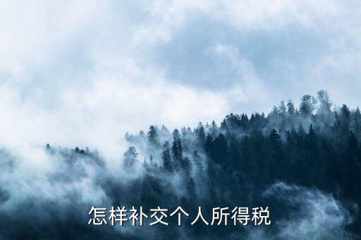 如何補(bǔ)交個(gè)人所得稅，如何用個(gè)人所得稅扣繳系統(tǒng)補(bǔ)繳稅款