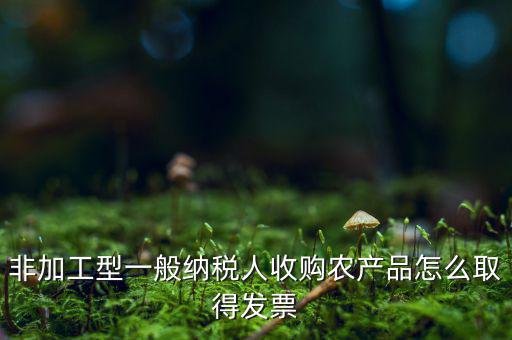 農(nóng)產(chǎn)品收購發(fā)票如何，農(nóng)產(chǎn)品收購發(fā)票如何開