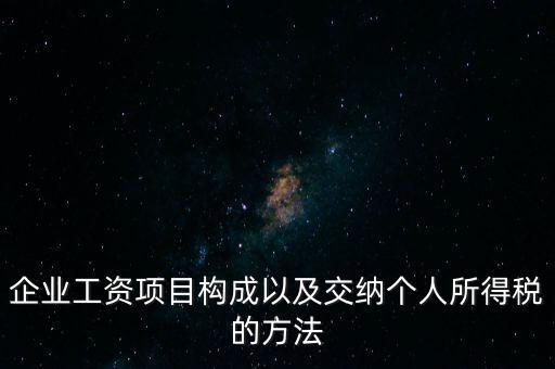 企業(yè)工資項(xiàng)目構(gòu)成以及交納個(gè)人所得稅的方法