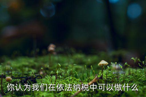 如何做到依法納稅，你認(rèn)為我們?cè)谝婪{稅中可以做什么