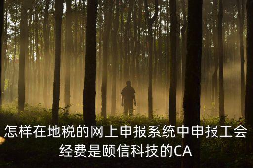 工會(huì)經(jīng)費(fèi)如何網(wǎng)上申報(bào)，怎樣在地稅的網(wǎng)上申報(bào)系統(tǒng)中申報(bào)工會(huì)經(jīng)費(fèi)是頤信科技的CA