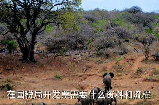 國稅局批票如何辦理，在國稅局開發(fā)票需要什么資料和流程