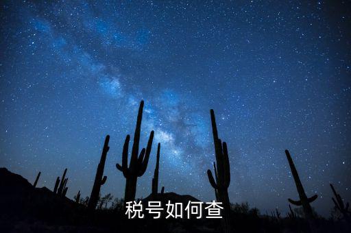 發(fā)票稅號(hào)如何查詢(xún)系統(tǒng)，開(kāi)發(fā)票不知道客戶(hù)的稅號(hào)應(yīng)該怎么查