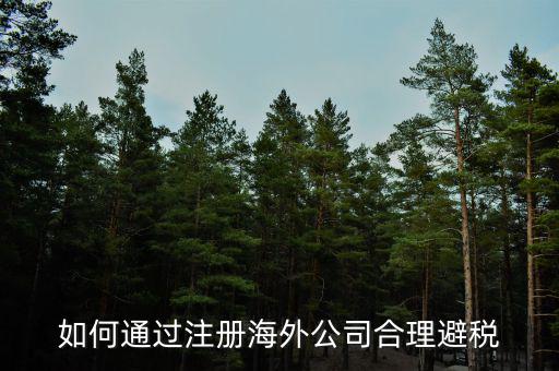 在境外注冊(cè)子公司如何避所得稅，離岸公司如何避個(gè)稅