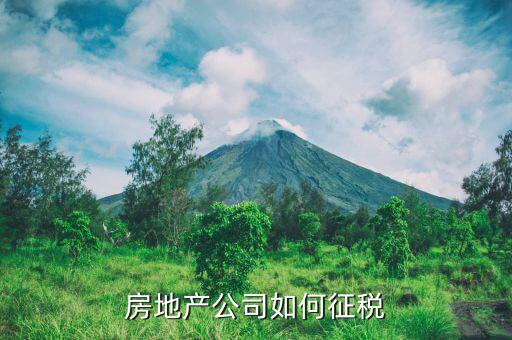 房地產(chǎn)企業(yè)如何繳納房產(chǎn)稅，房地產(chǎn)企業(yè)開發(fā)的商品房如何繳納房產(chǎn)稅