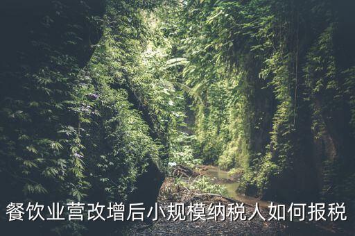 營改增后小規(guī)模納稅人如何報稅，營改增后小規(guī)模的怎么報稅