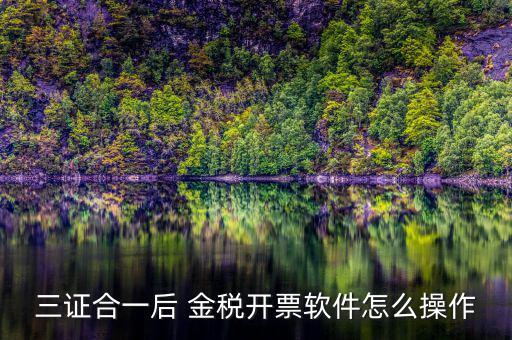 三證合一如何開(kāi)票系統(tǒng)，怎么給三證合一的企業(yè)開(kāi)增值稅發(fā)票