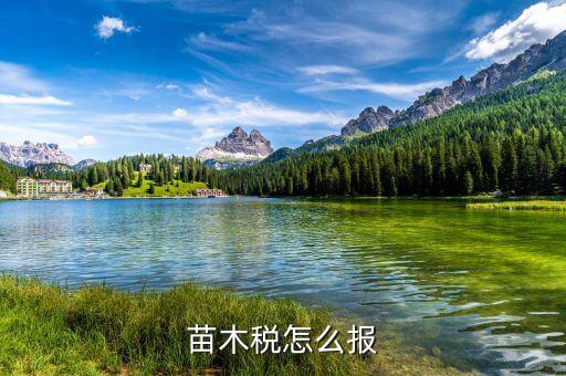 苗木增值稅免稅如何申報(bào)，苗木稅怎么報(bào)