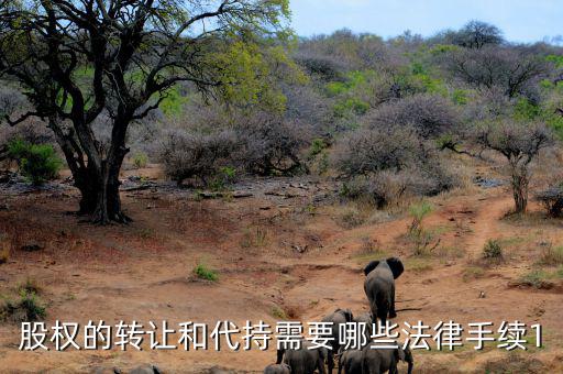 轉(zhuǎn)讓代持股如何轉(zhuǎn)讓，代持股可以轉(zhuǎn)賣(mài)嗎