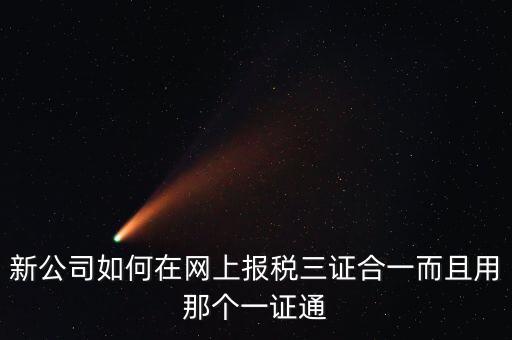 新公司如何在網(wǎng)上報稅三證合一而且用那個一證通