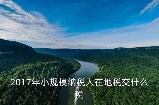 2017年土地稅如何征收，2017年小規(guī)模納稅人在地稅交什么稅