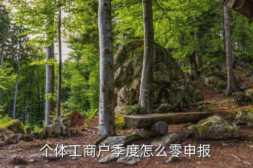 個(gè)體戶地稅如何零申報(bào)，個(gè)體工商戶地稅零申報(bào)怎樣報(bào)