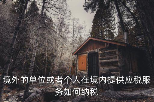境外機構(gòu)如何繳納增值稅，來源于境外收入怎么交增值稅