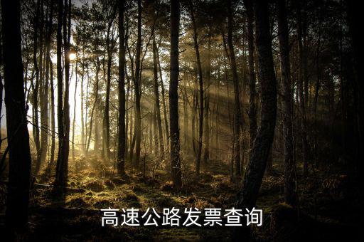 如何知道道路發(fā)票幾級(jí)，汽車的增值稅發(fā)票怎么看
