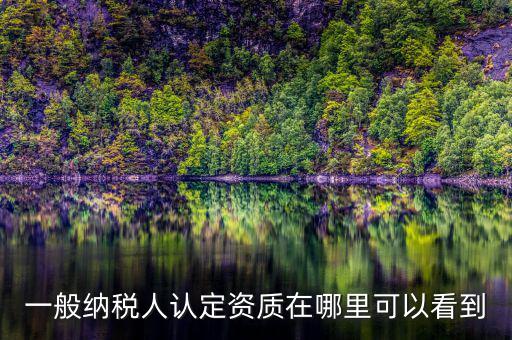 如何查看稅務(wù)資質(zhì)，一般納稅人認(rèn)定資質(zhì)在哪里可以看到