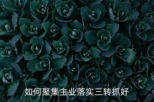 如何聚集主業(yè)落實三轉抓好