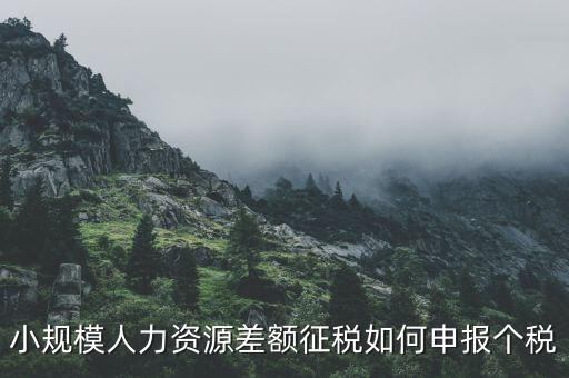 小規(guī)模人力資源差額征稅如何申報個稅