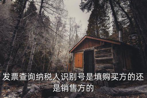 發(fā)票查詢納稅人識(shí)別號(hào)是填購(gòu)買(mǎi)方的還是銷(xiāo)售方的