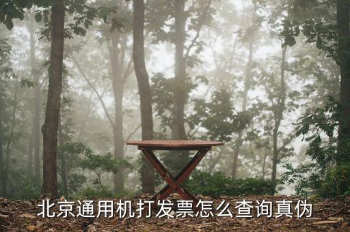 如何查詢北京普通發(fā)票真?zhèn)尾樵?，北京增值稅普通發(fā)票可以網(wǎng)上查詢真?zhèn)螁?/></a></span><span id=