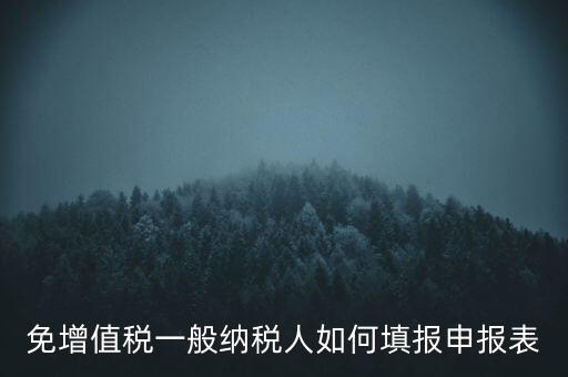 免稅如何填寫申報(bào)表，免稅企業(yè)如何填報(bào)增值稅納稅申報(bào)表