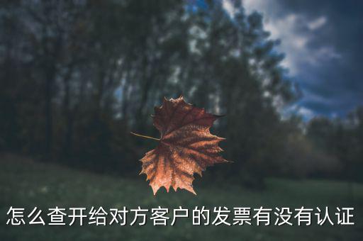 如何查詢(xún)未認(rèn)證的發(fā)票嗎，如何查詢(xún)開(kāi)給對(duì)方的發(fā)票有沒(méi)有認(rèn)證
