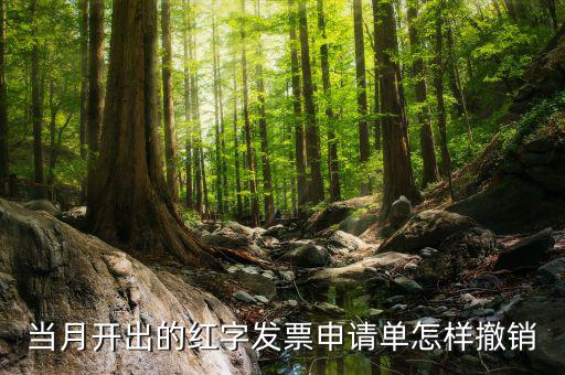 如何撤銷(xiāo)紅字發(fā)票申請(qǐng)書(shū)，紅字申請(qǐng)單如何作廢