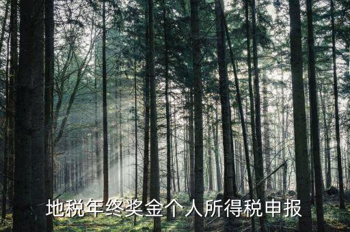 地方稅務(wù)局網(wǎng)上如何申報年終獎，網(wǎng)上報稅中年終獎怎么報怎么操作啊